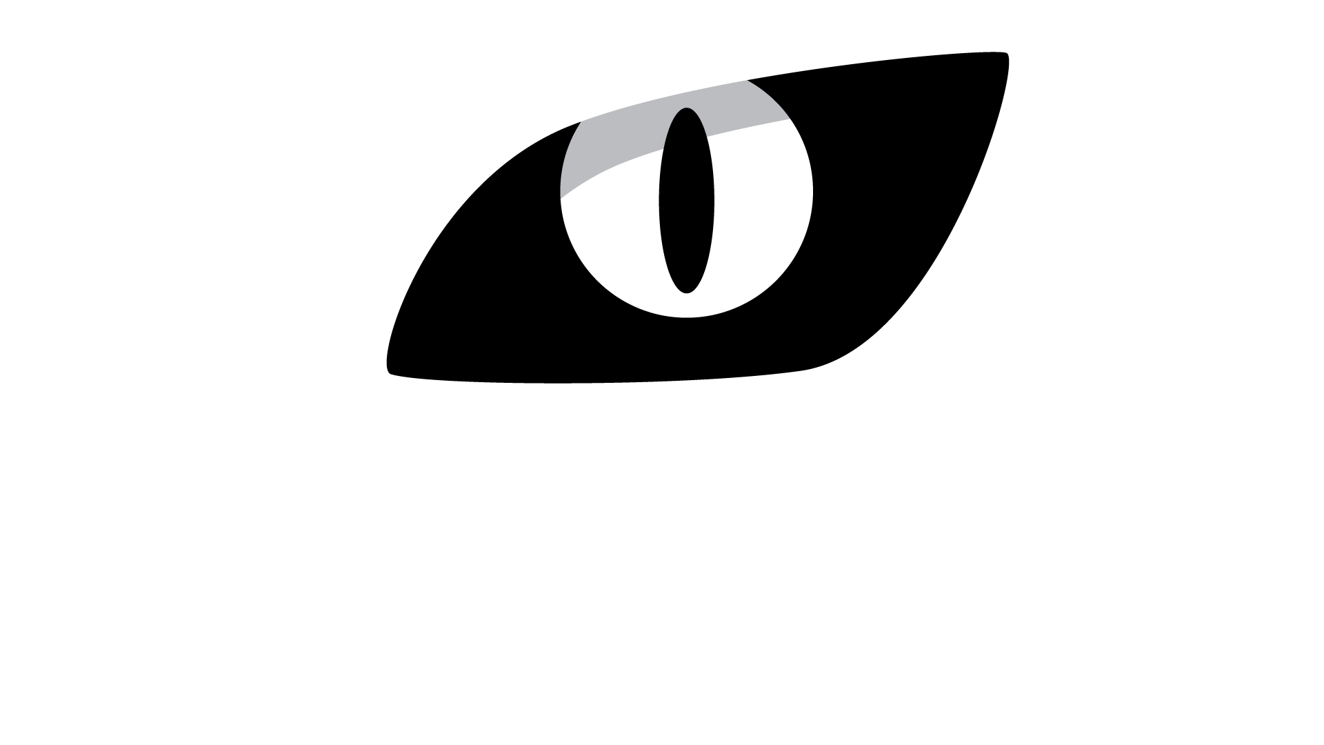 the vysual